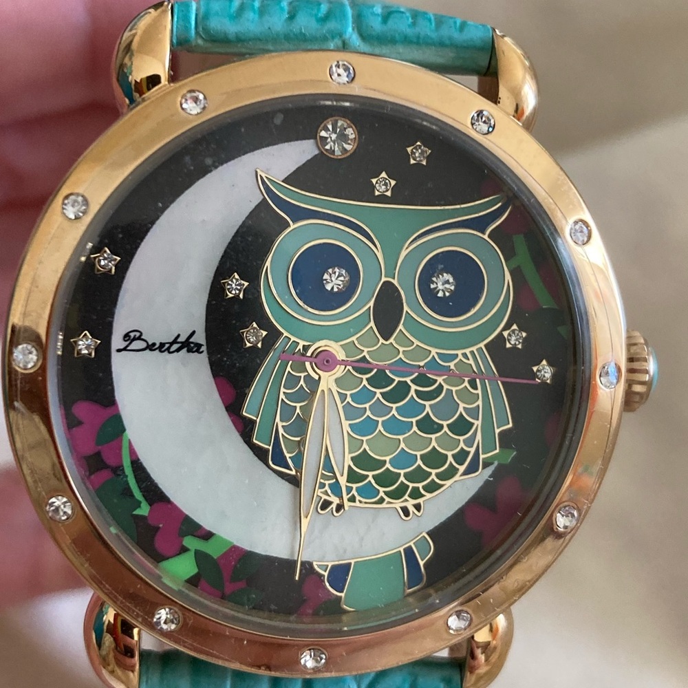 NWOT Bertha teal owl watch